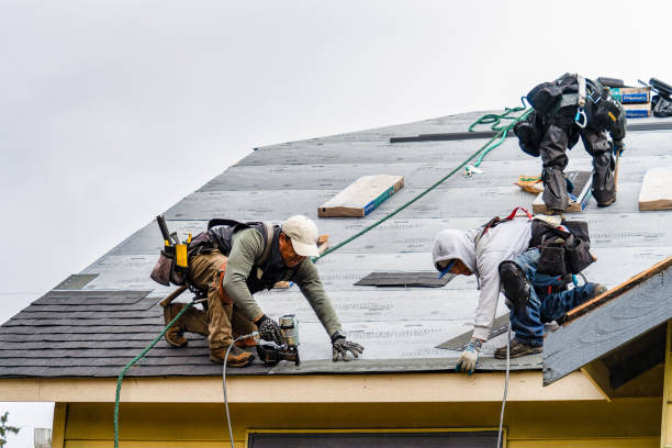 Professional Roofing technician working in Burnt Cabins, PA